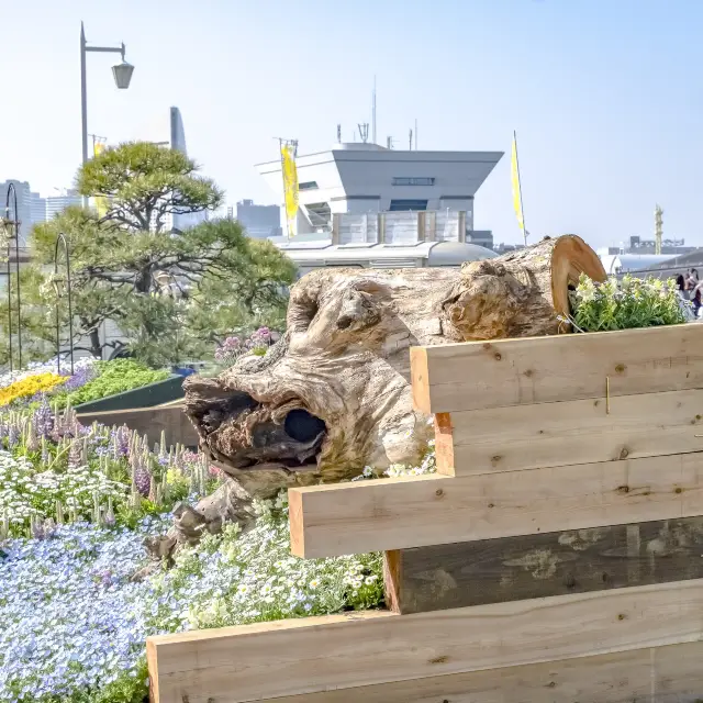 山下公園の園芸エリアの様子