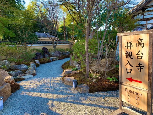 京都　SAKURA 桜めぐり❗️高台寺の桜に感動❗️