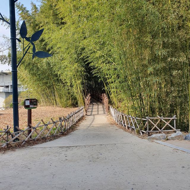 힐링여행이었던 울산 태화강 국가정원과 리버뷰호텔 힐링여행이었던 울산 태화강 국가정원과 리버뷰호텔