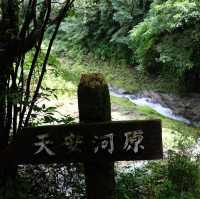 宮崎的神話之鄉