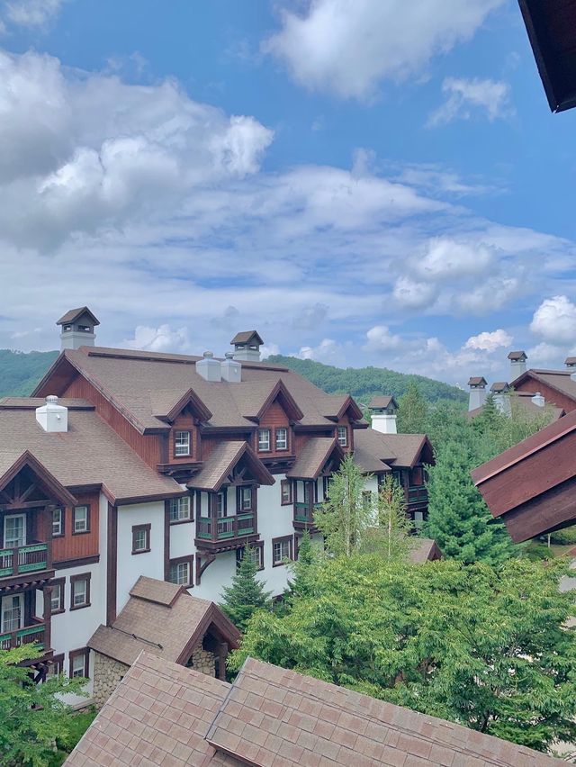 [평창] 스위스보다 더 스위스같은 용평리조트 버치힐콘도🏡
