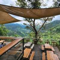Charlie's Cup - A Roadside Nature Cafe