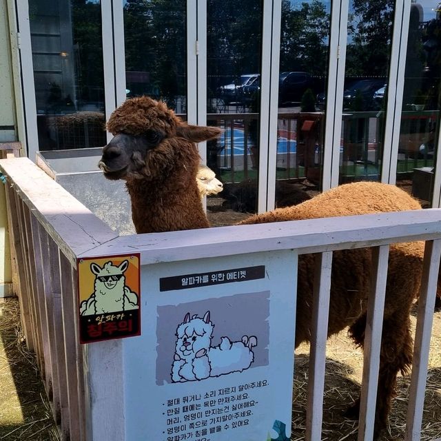 우영우가 데이트했던 고래카페, 김포 수산공원