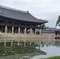 조선의 중심 경복궁 피크닉