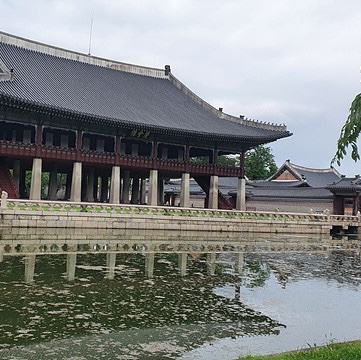 조선의 중심 경복궁 피크닉