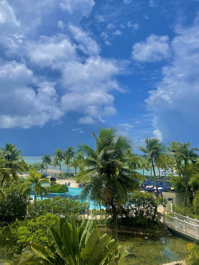 전 객실 오션뷰 사이판 켄싱턴 호텔🌊