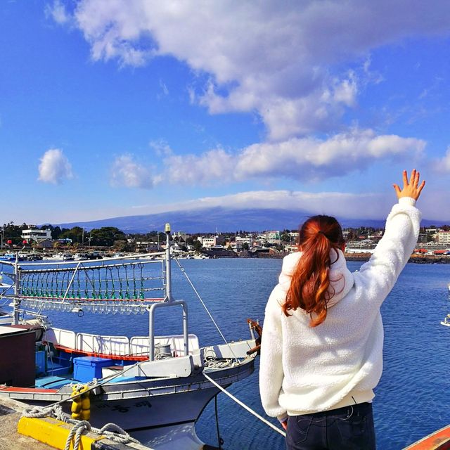 ⛴️ 한라산을 바라볼 수 있는 항구, 위미항