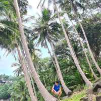 ถ่ายรูปกับต้นมะพร้าว ที่หาด ลับ ภูเก็ต