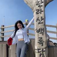 등린이도 인내만 있다면 가능한 한라산 🏔️