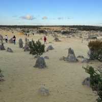 Perthfect and Amazing Trip 