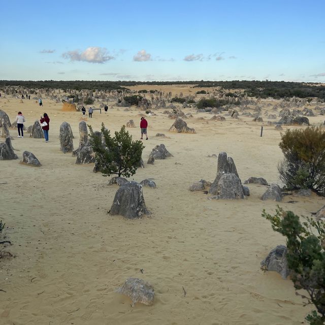 Perthfect and Amazing Trip 