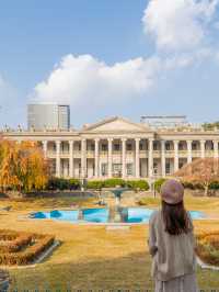 가을 피크닉가기 좋은 덕수궁 석조전 