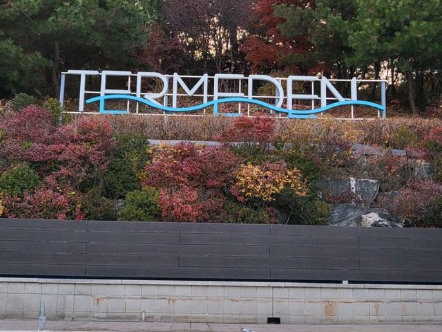 따뜻한 물있는 야외 수영장 🏊‍♂️ 