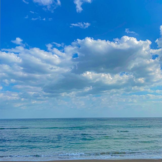 제주 겨울 여행지 추천💙