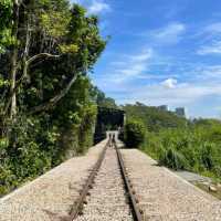 火車迷必到Rail Corridor@武吉知馬自然保護區