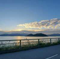 秋冬踏單車靚景之選：大美督