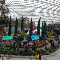 Christmas @ Flower Dome