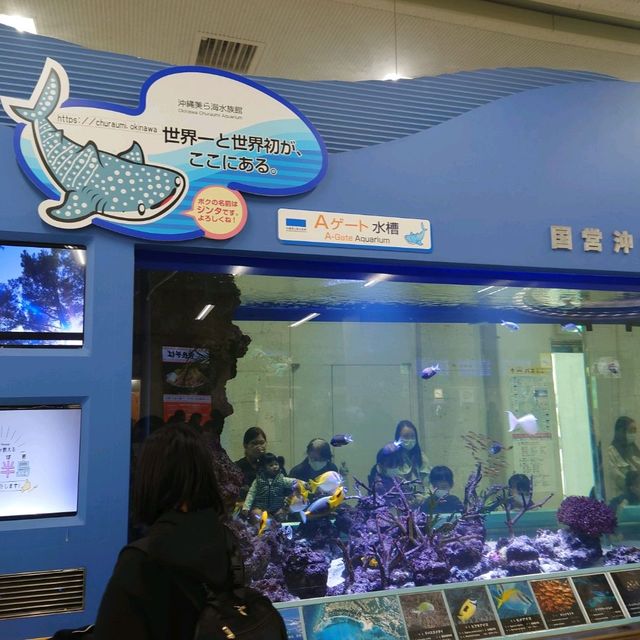 那覇空港
