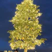 クリスマスマーケット🎄