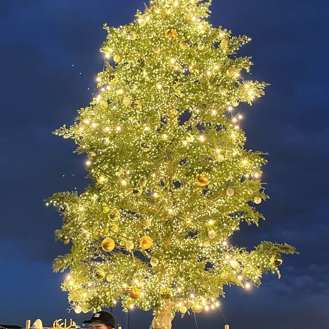 クリスマスマーケット🎄