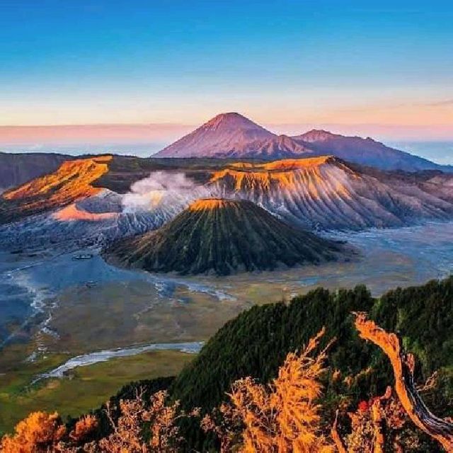 BROMO