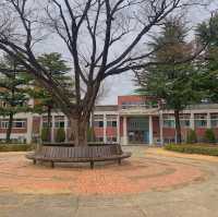[대구광역시] 해외느낌 가득, 계명대학교 대명캠퍼스