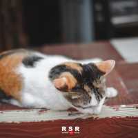 หมู่บ้านอีต่อง ปิล็อก ทองผาภูมิ จ.กาญจนบุรี