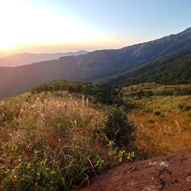 夢之大帽山