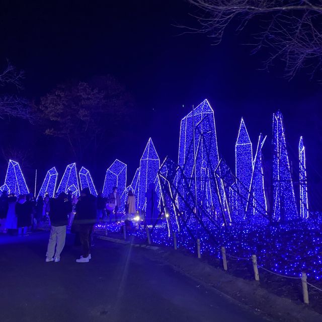 【関東三大イルミネーション】さがみ湖イルミリオンは凄かった！