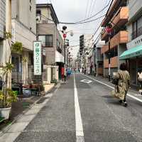 【東京】巳の日にお参りして金運UP✨