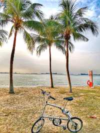 Morning Cycling @East Coast Beach Park