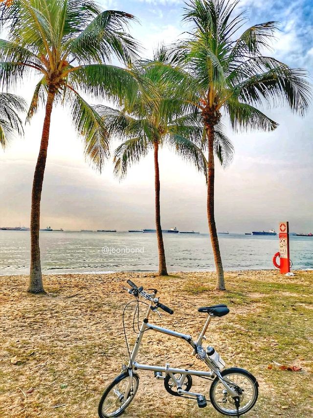 Morning Cycling @East Coast Beach Park