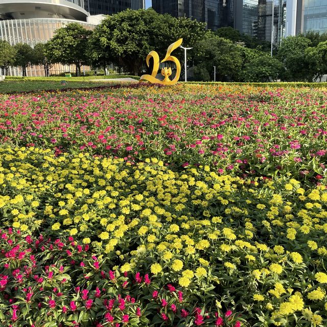 欣賞七彩繽紛的花海😍