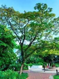 Instagramable Spot @FortCanning TreeTunnel