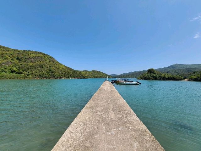 人間天堂~三椏🏞️