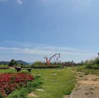 고흥 쑥섬
