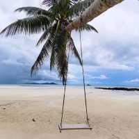 A Beach Within The Forest