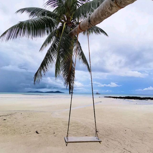 A Beach Within The Forest