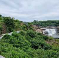Known as both the "Garden City" and "The Sili