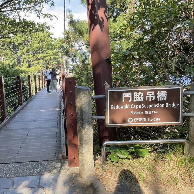 城ヶ崎海岸/門脇つり橋【静岡県/伊東市】