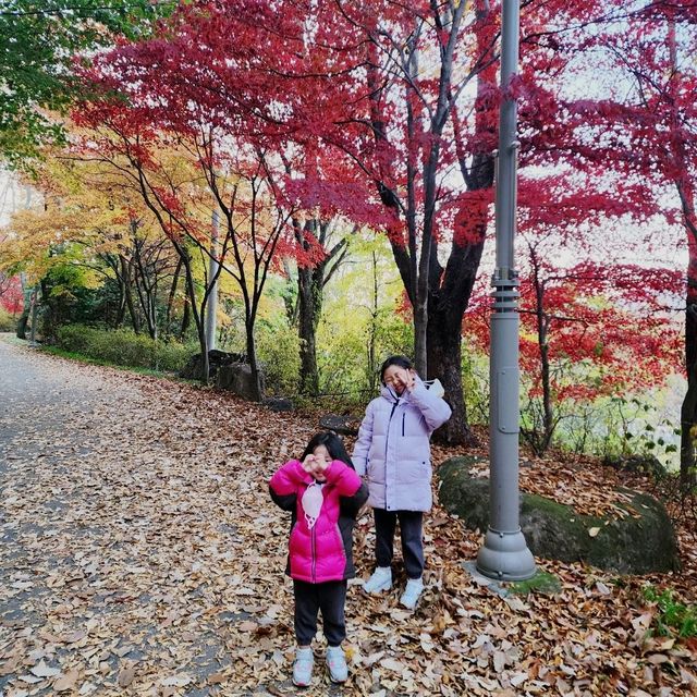 비슬산 가을풍경 11월초 단풍절정