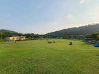 【五臟俱全的公園~佐敦谷公園⛲】