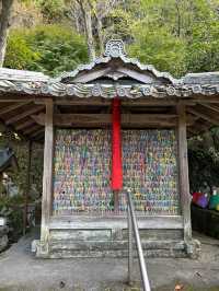 【京都】正寿院散策