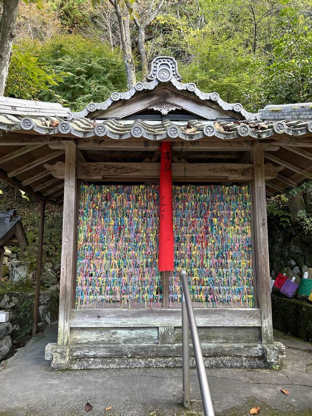 【京都】正寿院散策