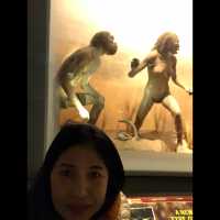 มาเที่ยว American Museum of Natural History ค่ะ