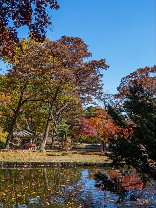 오색찬란한 가을 피크닉 창덕궁 후원 