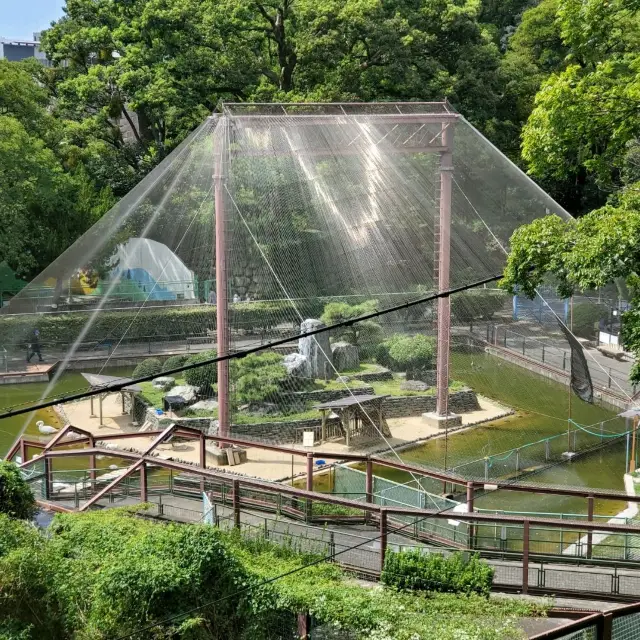 日本和歌山城公園動物園