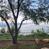 Hiking At Casuarina Coastal Reserve