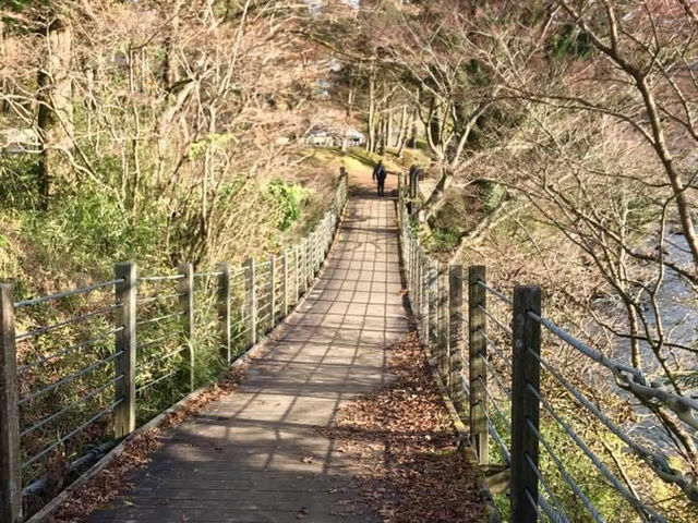 東京攻略 箱根站