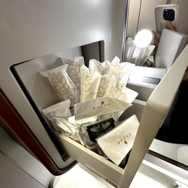 SUITE DREAMS - SQ25 JFK-FRA Business
